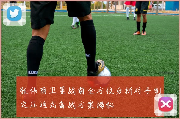 张伟丽卫冕战前全方位分析对手制定压迫式备战方案揭秘