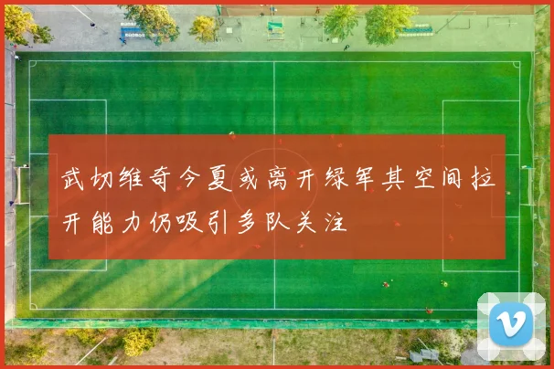 武切维奇今夏或离开绿军其空间拉开能力仍吸引多队关注